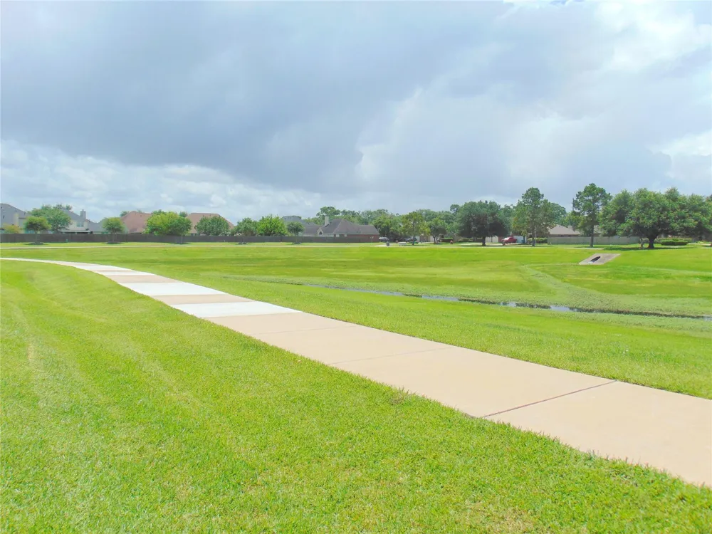 1319 Magnolia Dale Drive Fresno, TX 77545