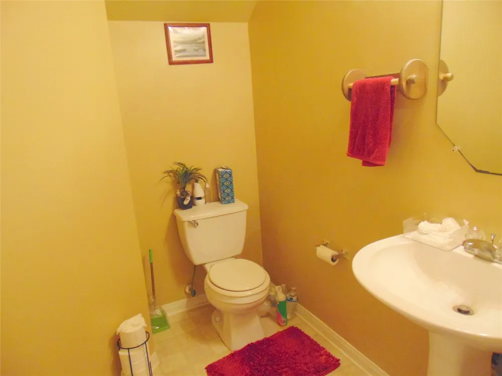 1319 Magnolia Dale Drive Fresno, TX 77545