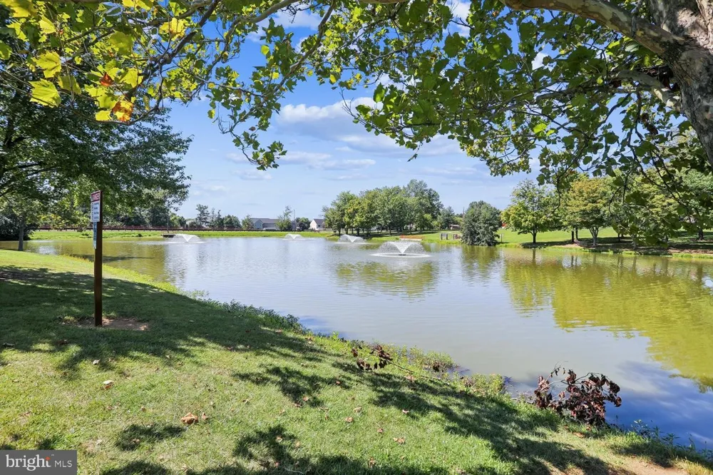 301 CONE BRANCH DRIVE Middletown, MD 21769