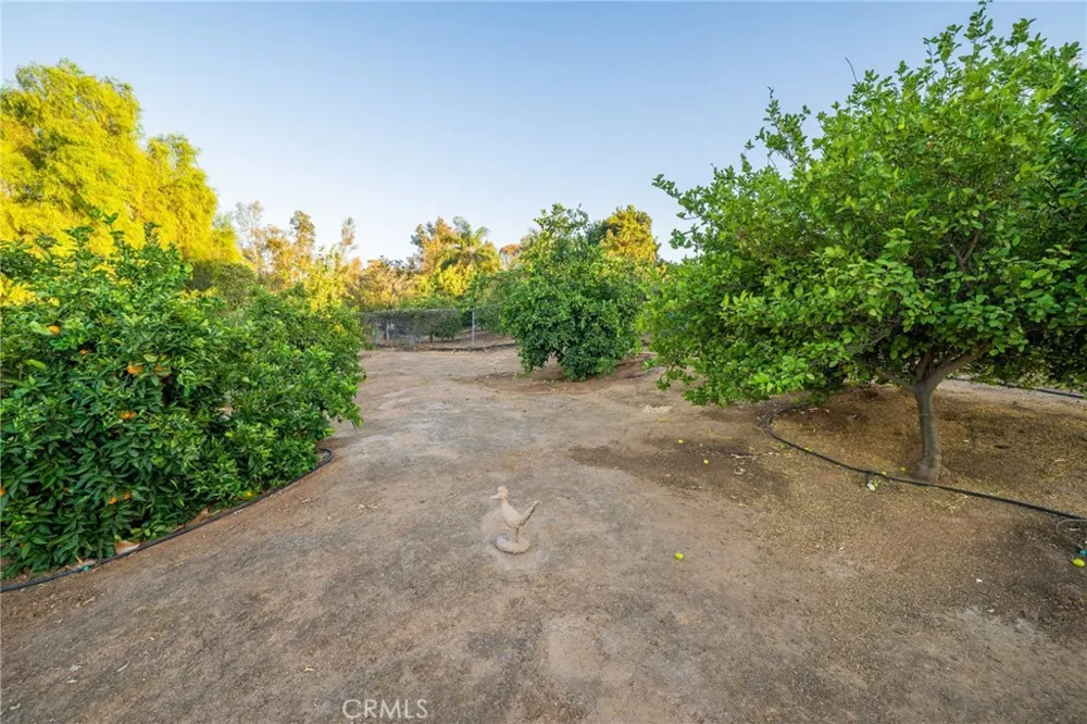 16401 Orangewind Lane Riverside, CA 92503