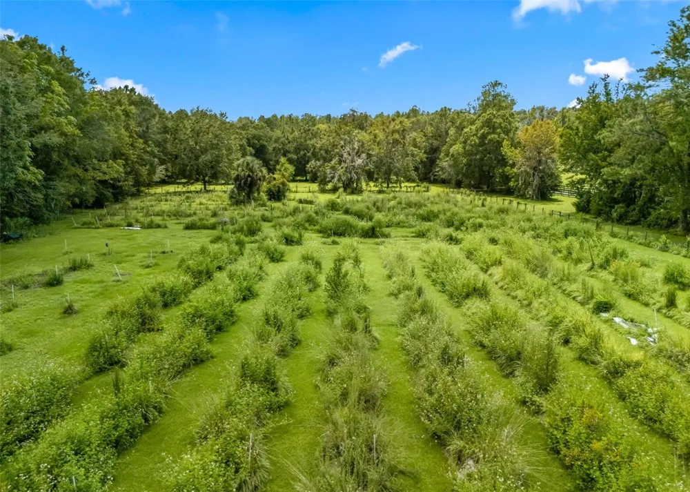10330 NW 28TH PLACE ocala, FL 34482