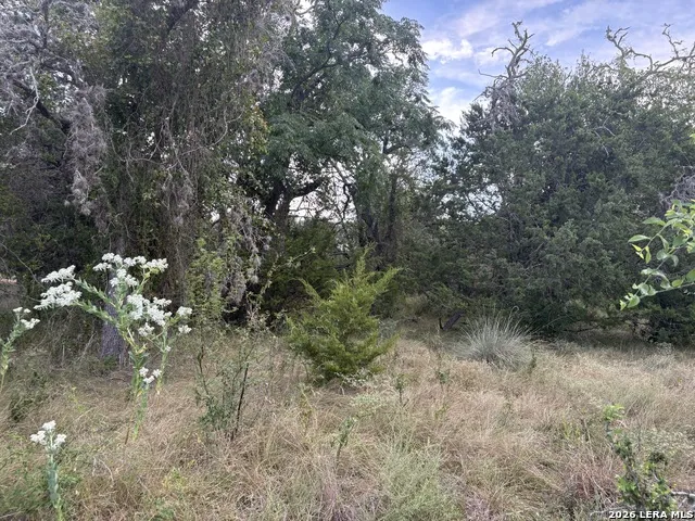 LOT 4 San Julian Estates-Hwy 173 S Bandera, TX 78003