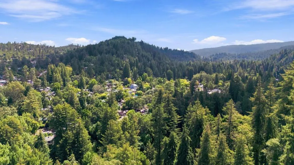 295 Park Drive Ben Lomond, CA 95005