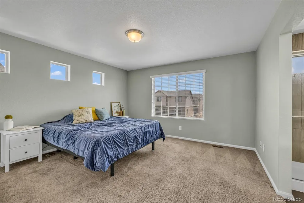 18183 E 104th Way Commerce City, CO 80022