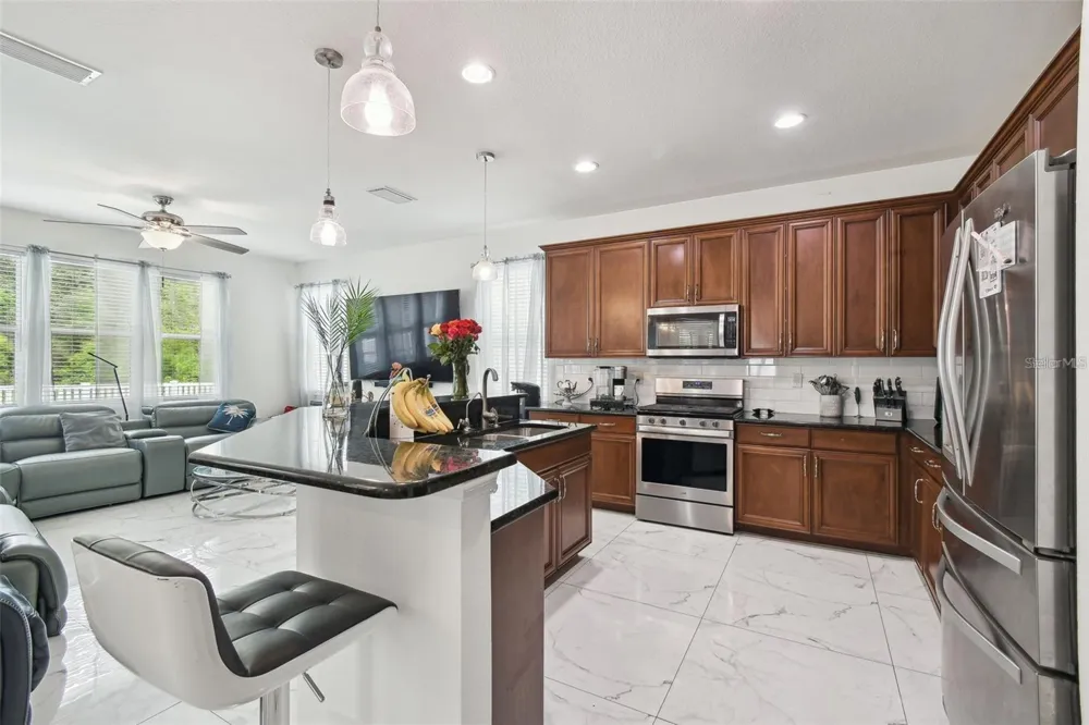 8542 EAGLE BROOK DRIVE Land O Lakes, FL 34638