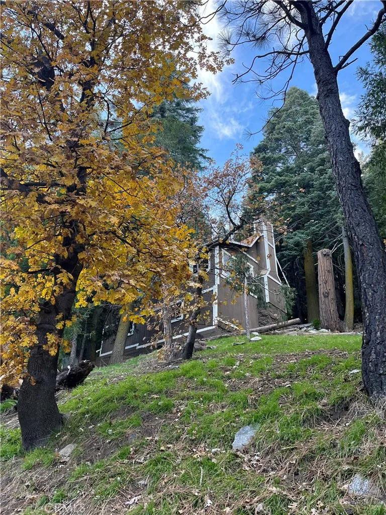 404 Mozumdar Cedarpines Park, CA 92322