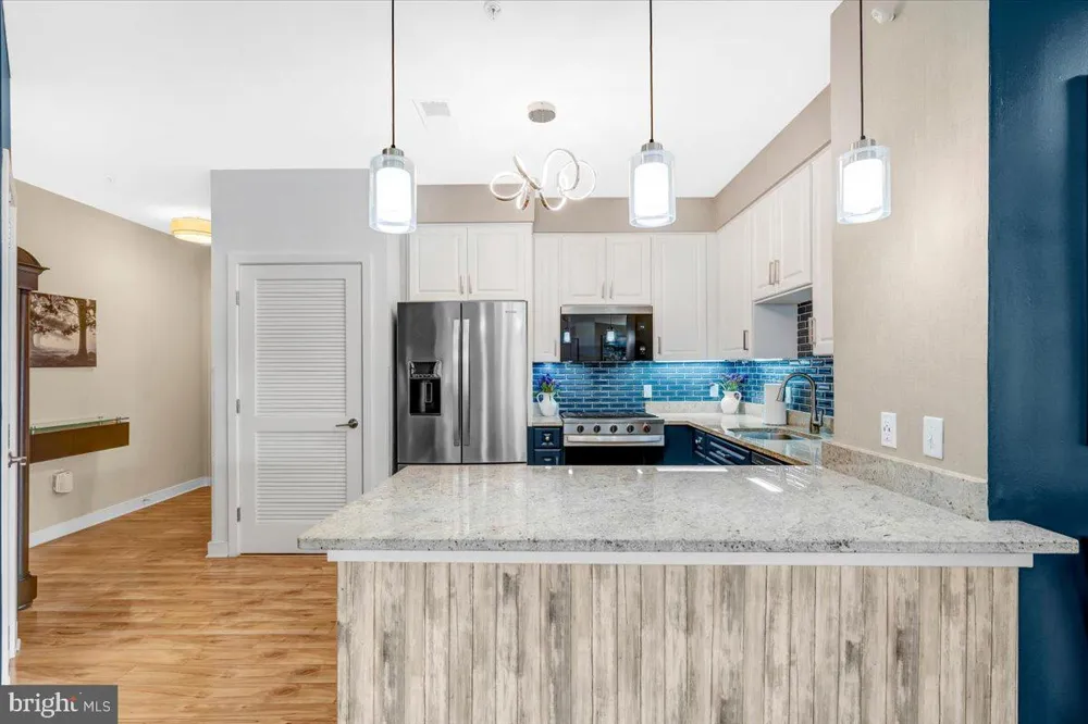 8005 13TH STREET #106 Silver Spring, MD 20910
