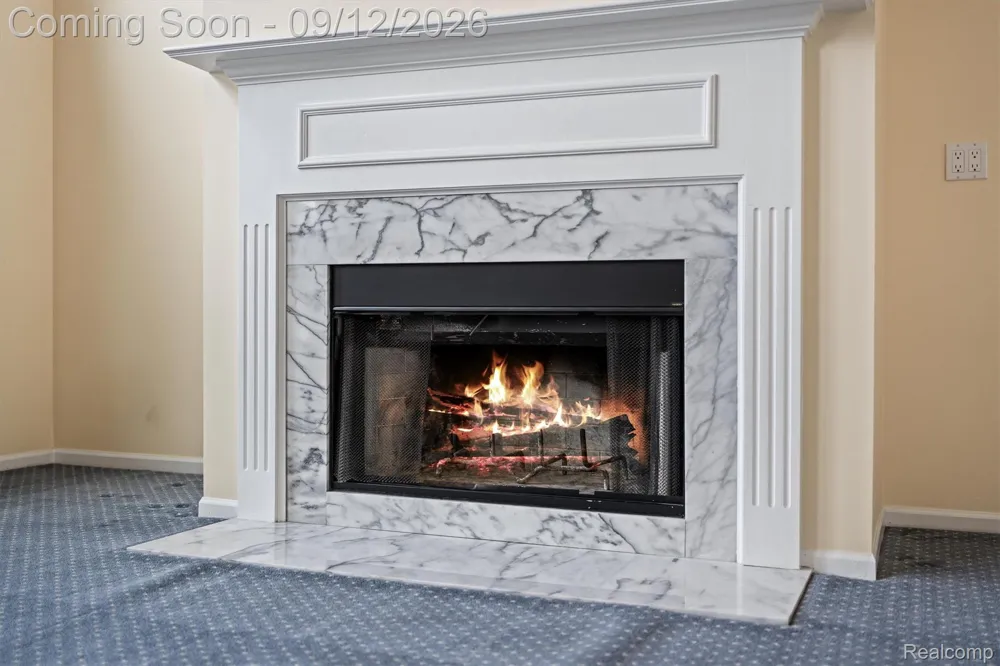 46652 Red Oak Drive Northville Township, MI 48168