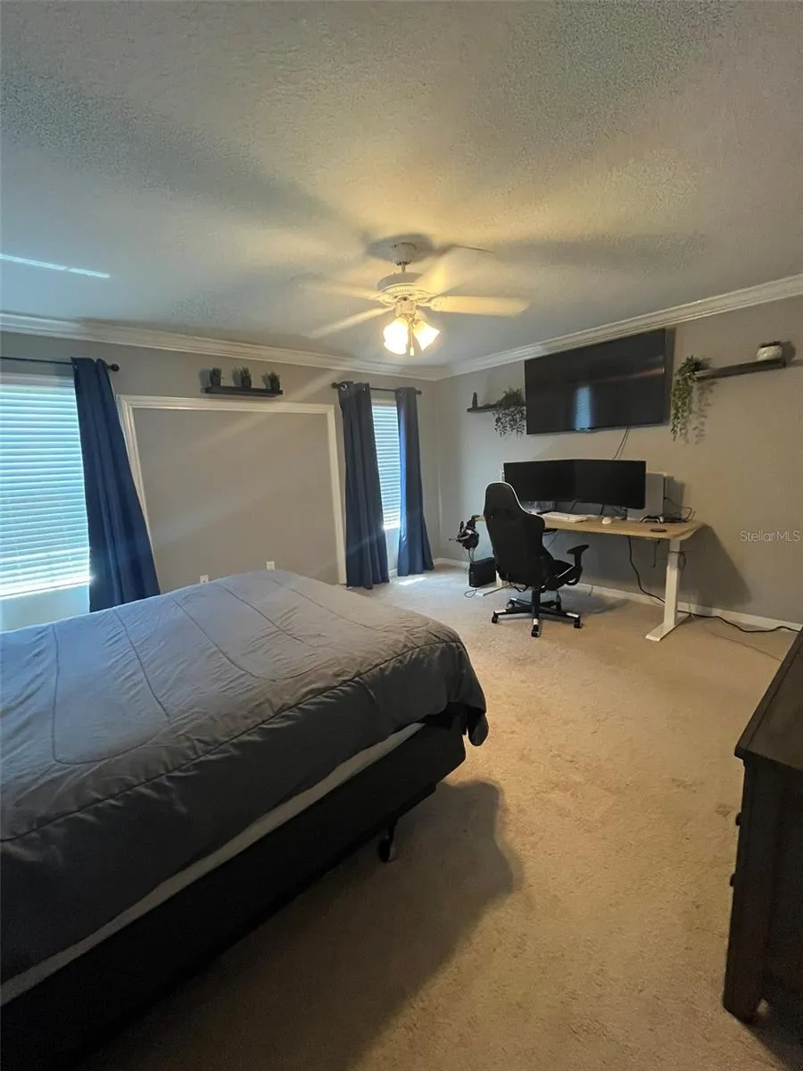 9412 TRUMPET VINE LOOP Trinity, FL 34655