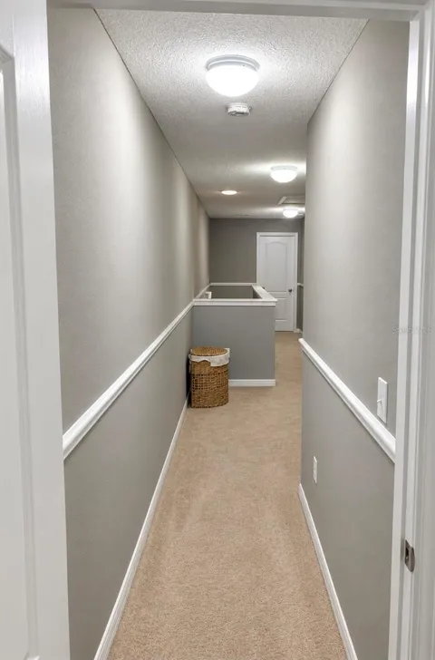 9412 TRUMPET VINE LOOP