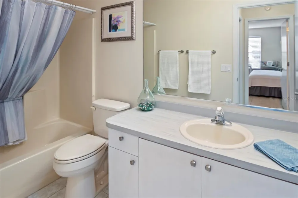672 SAN PEDRO DRIVE The Villages, FL 32159