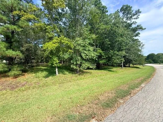 Kings Point Drive Coldspring, TX 77331