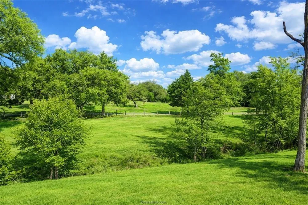 S Fm 46 - 10 Acres Franklin, TX 77856