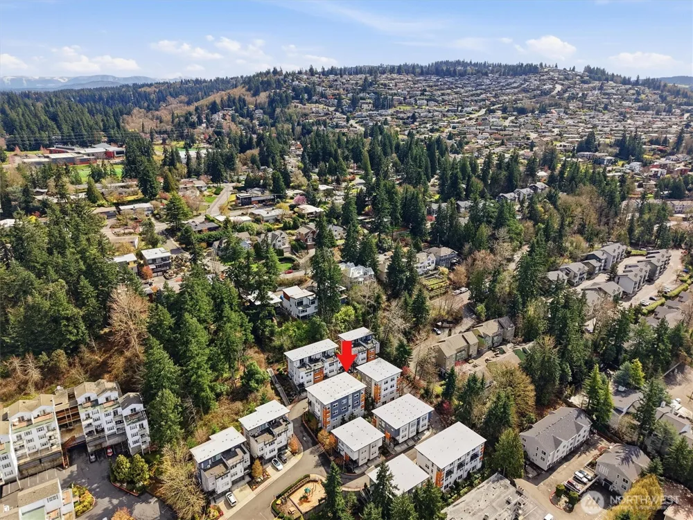4033 129th Place SE Bellevue, WA 98006