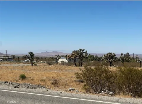 Bear Valley Road
