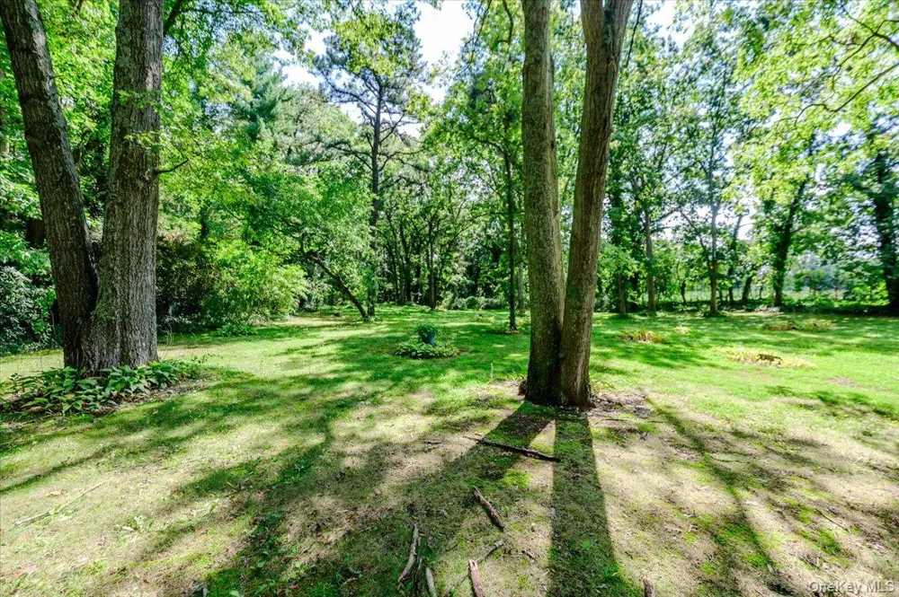 44 E Half Hollow Road Dix Hills, NY 11746