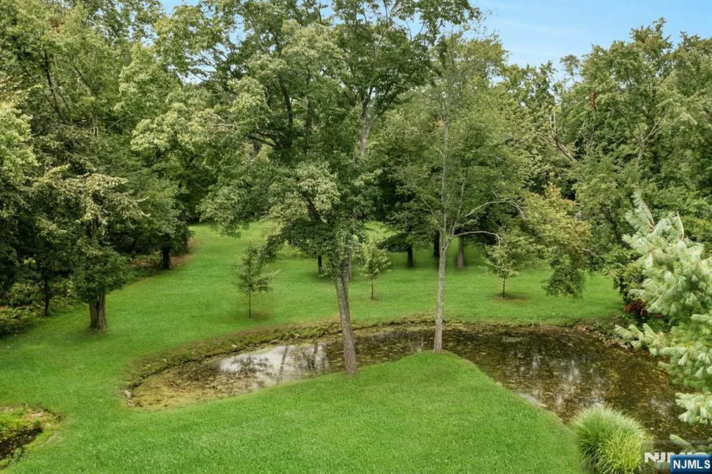 25 Bryers Lane Upper Saddle River, NJ 07458