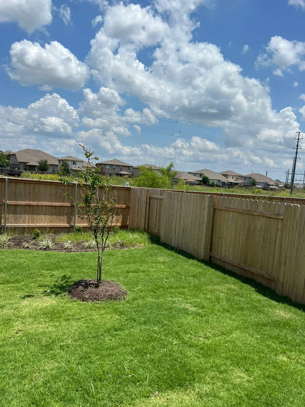 12204 Scarlet Sleeve Way Del Valle, TX 78617