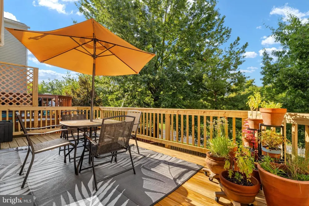545 SPARKLEBERRY TERRACE NE Leesburg, VA 20176