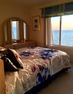 3616 Lakeshore Drive #E11 St. Joseph, MI 49085