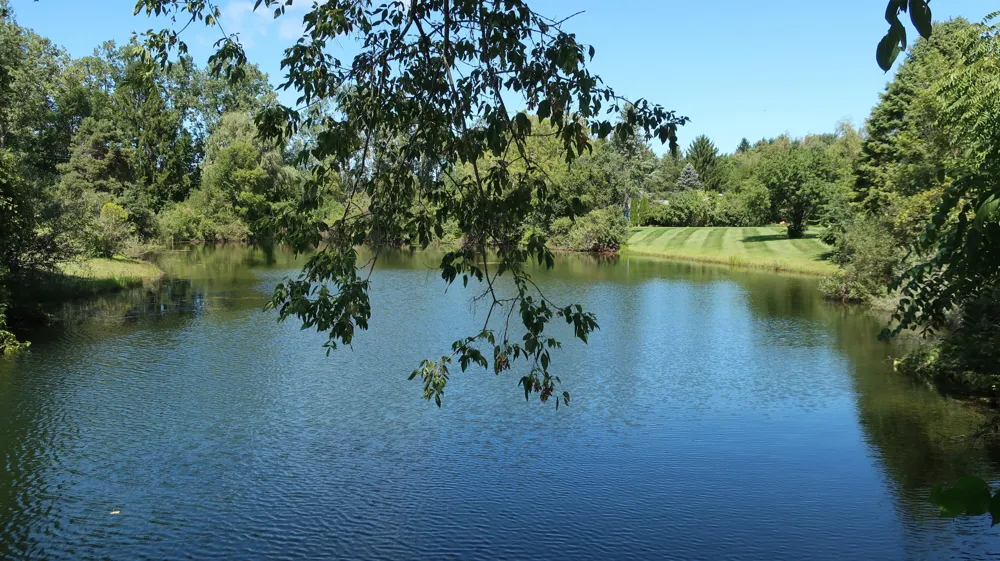 2603 Lone Oak Drive Ann Arbor, MI 48103