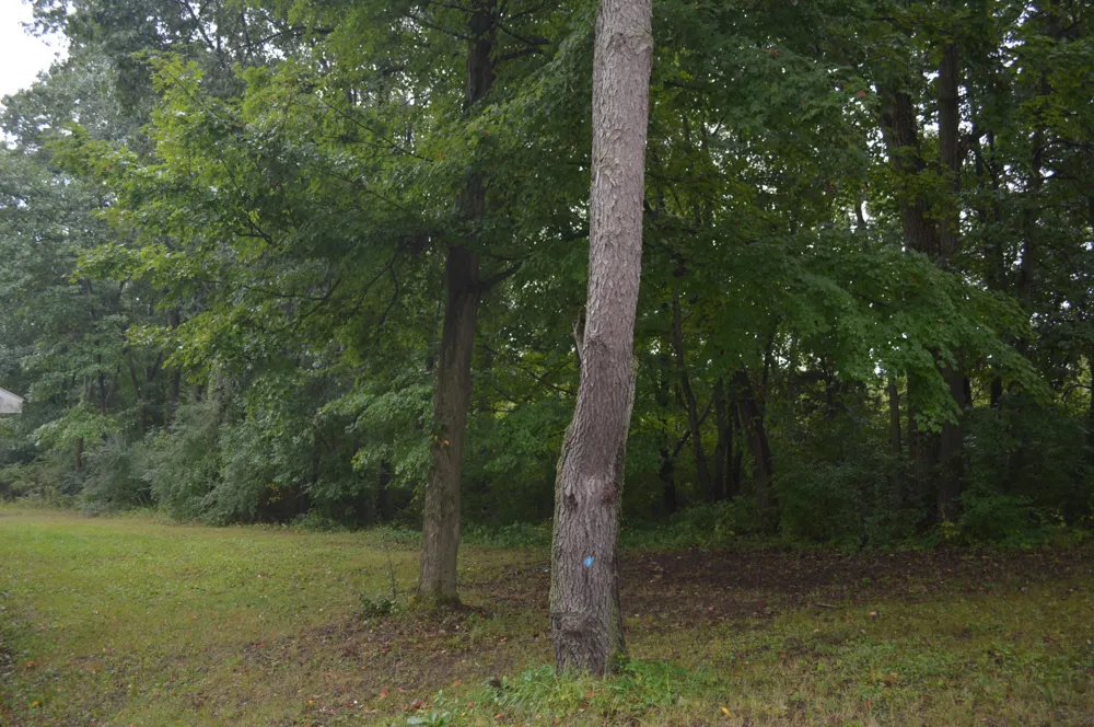 6551 Ann Arbor Road Jackson, MI 49201