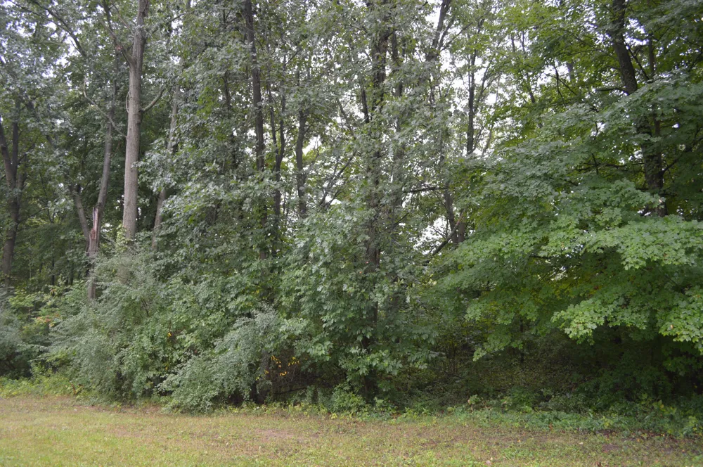 6551 Ann Arbor Road Jackson, MI 49201