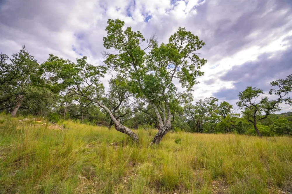 247 Betty Drive Bandera, TX 78003