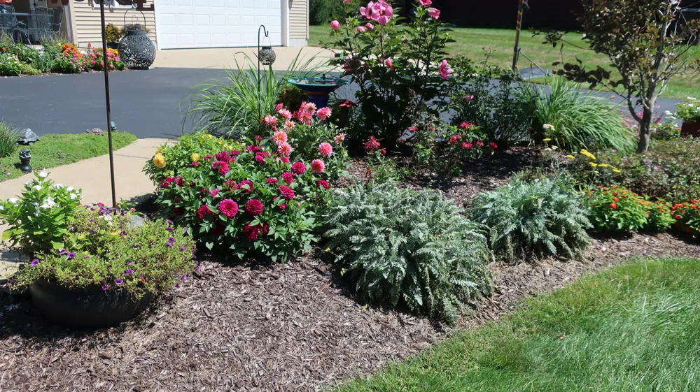 2603 Lone Oak Drive Lodi Township, MI 48103