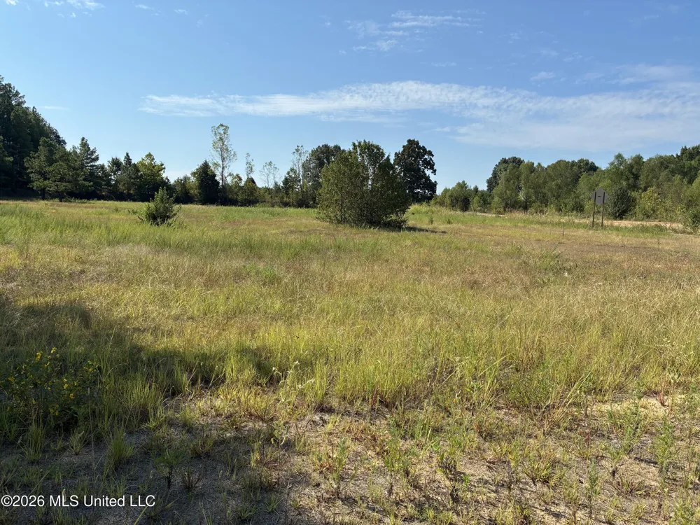 577 Starlanding Hernando, MS 38632
