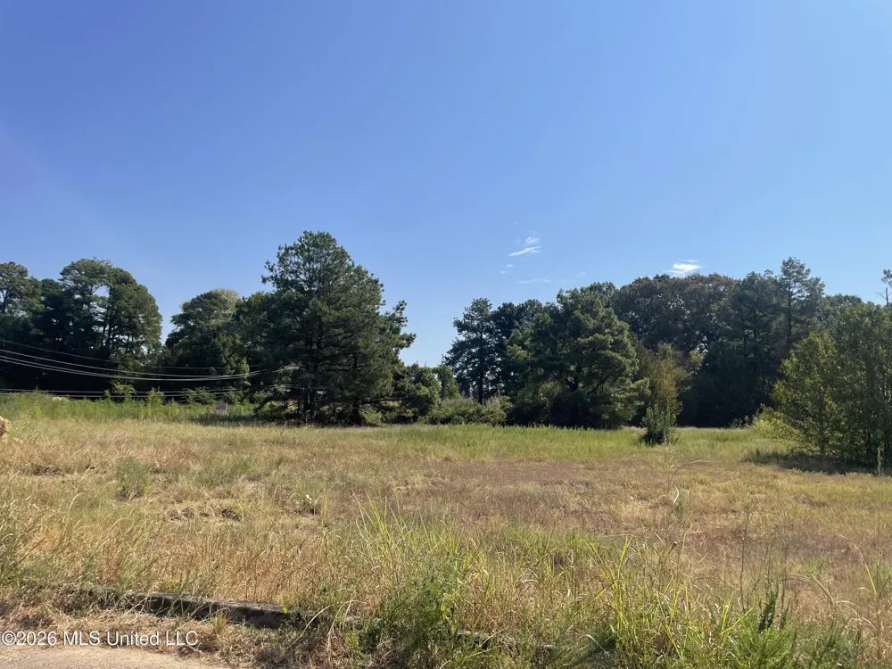 577 Starlanding Hernando, MS 38632