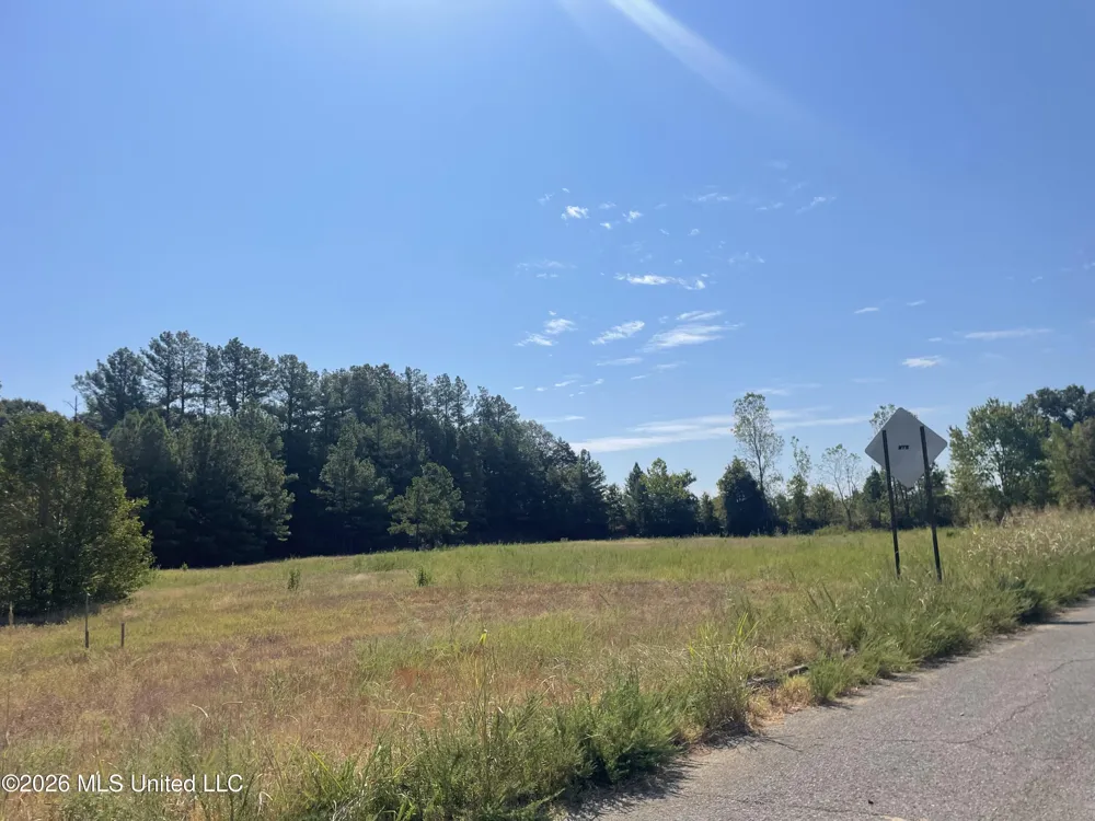 577 Starlanding Hernando, MS 38632