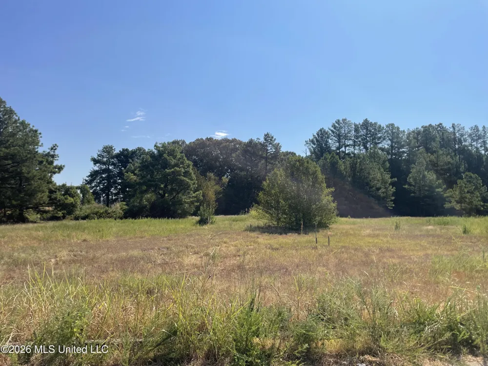 577 Starlanding Hernando, MS 38632