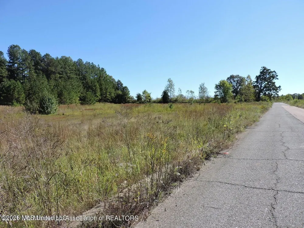 577 Starlanding Hernando, MS 38632