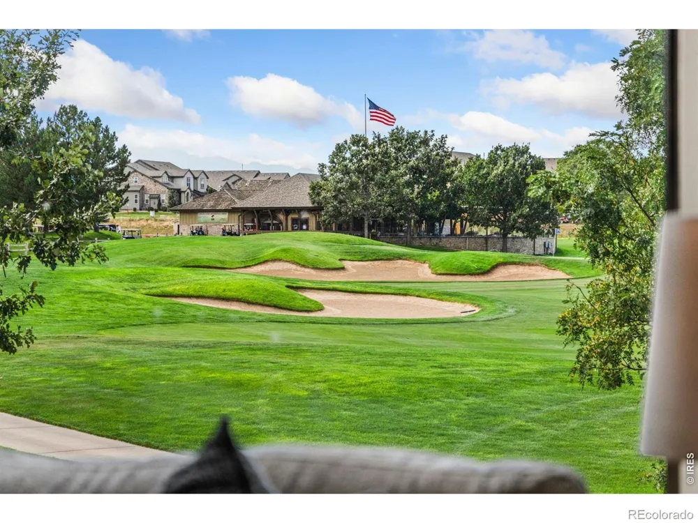 6355 Crooked Stick Drive Windsor, CO 80550