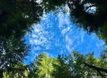 1085 lake cushman Road Hoodsport, WA 98548