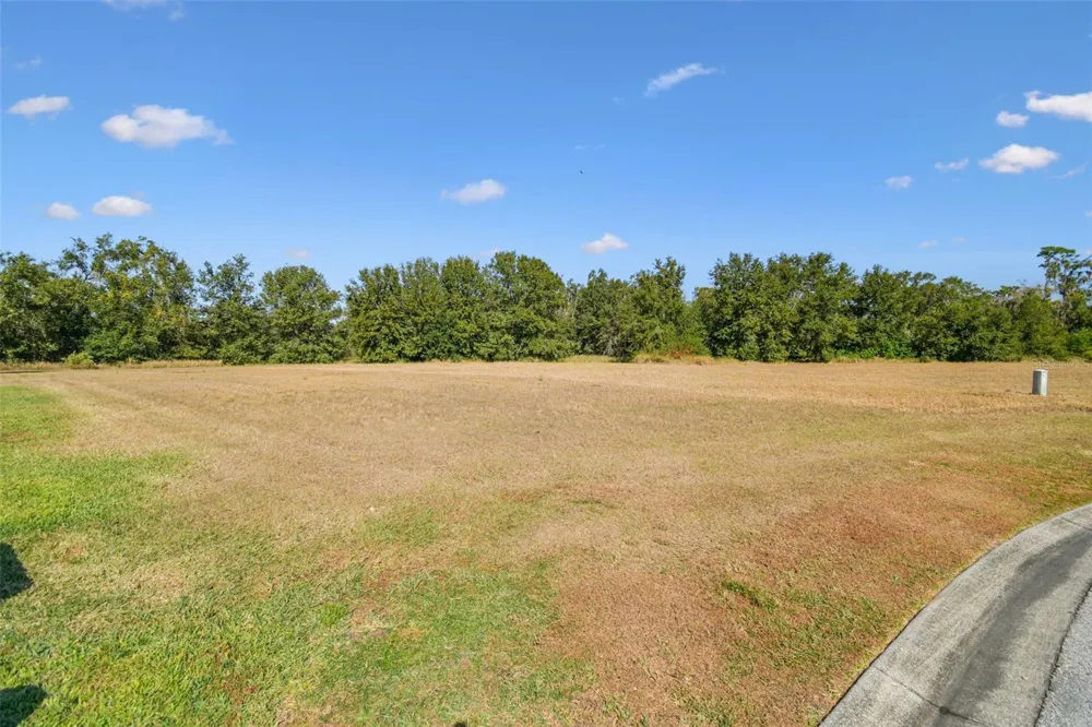 420 HAWK TALON DRIVE Lithia, FL 33547