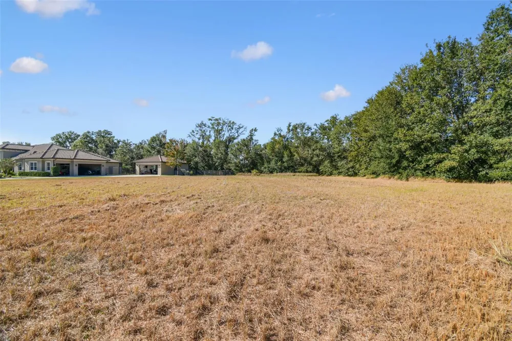 420 HAWK TALON DRIVE Lithia, FL 33547
