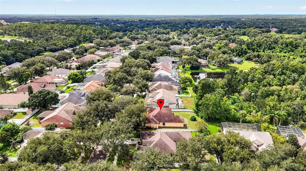 9603 BIRNAMWOOD STREET Riverview, FL 33569