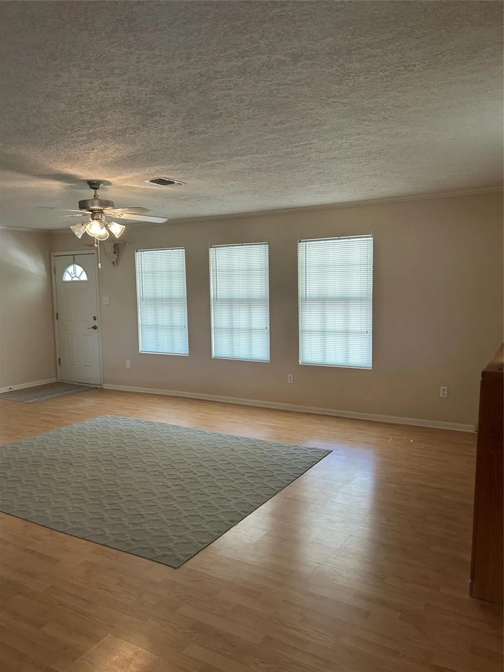 437 Gov Wood Drive Point Blank, TX 77364