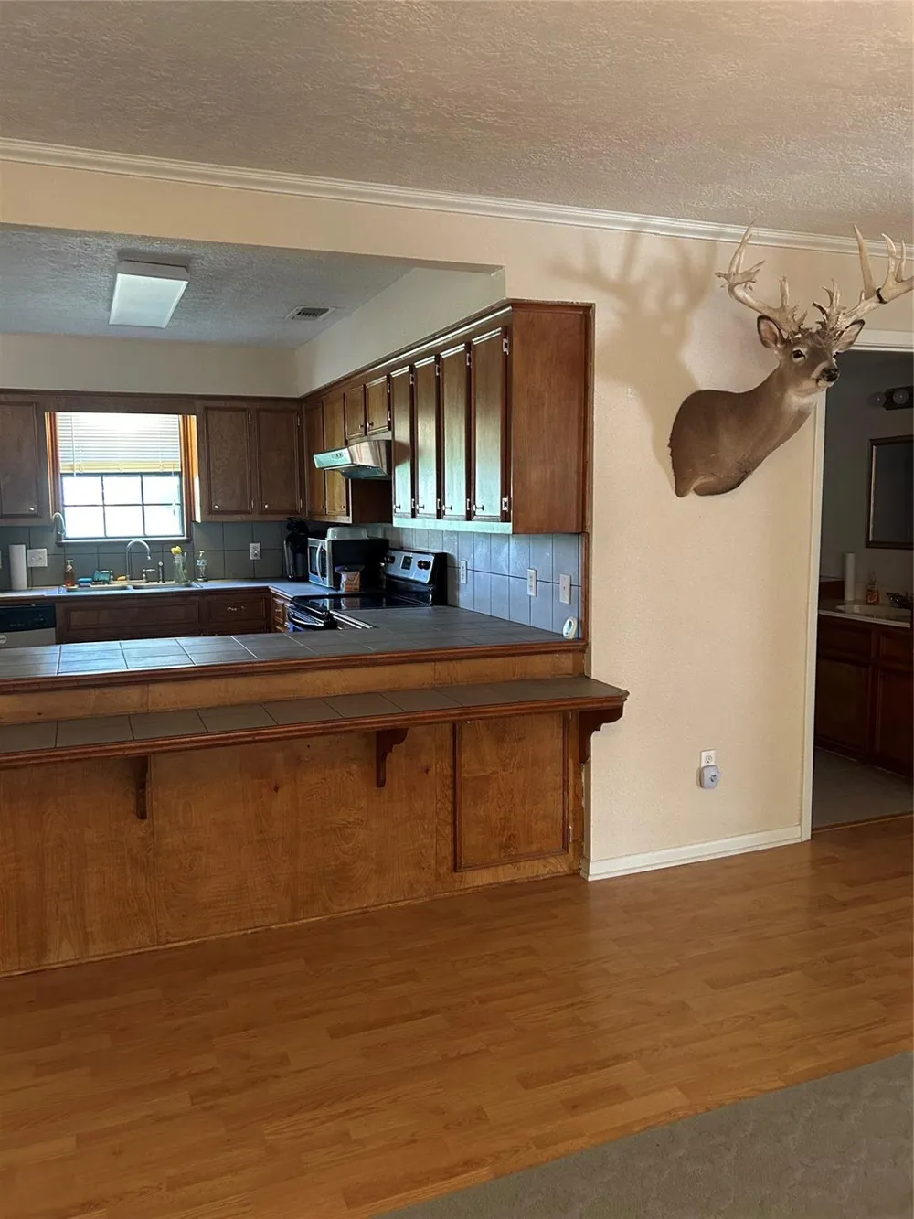 437 Gov Wood Drive Point Blank, TX 77364