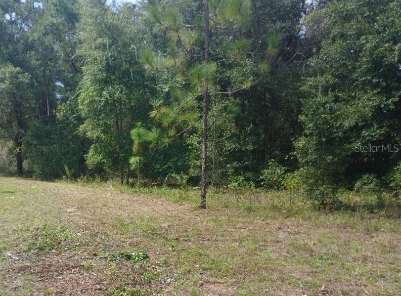 52ND AVENUE NW ocala, FL 34482