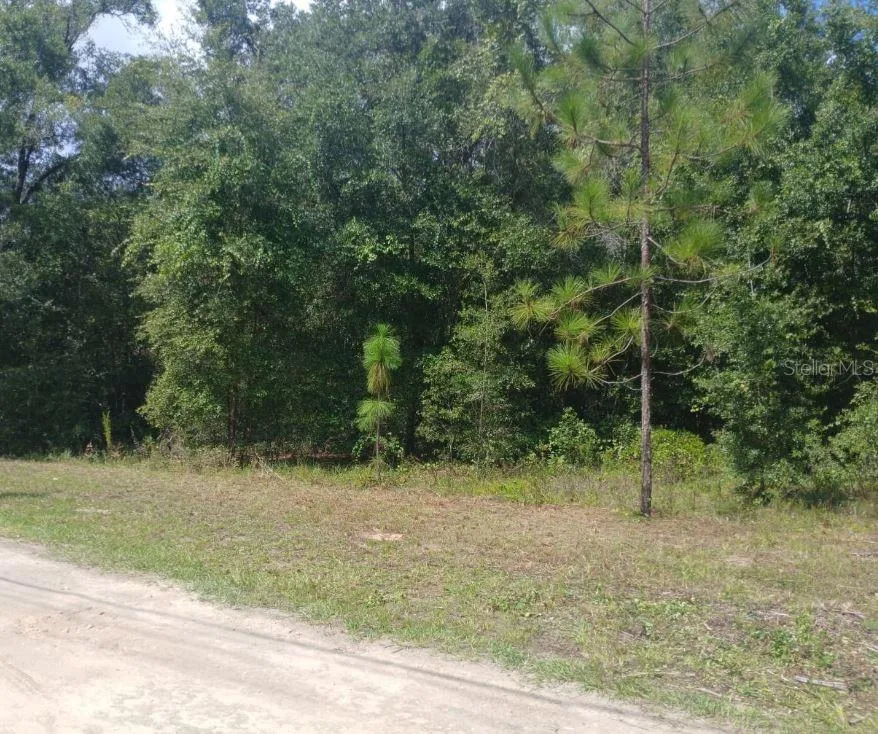 52ND AVENUE NW ocala, FL 34482