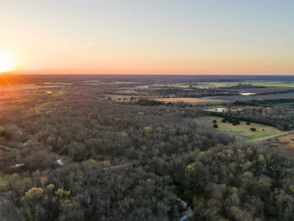 County Road 3550 Honey Grove, TX 75446