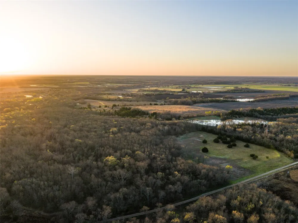County Road 3550 Honey Grove, TX 75446