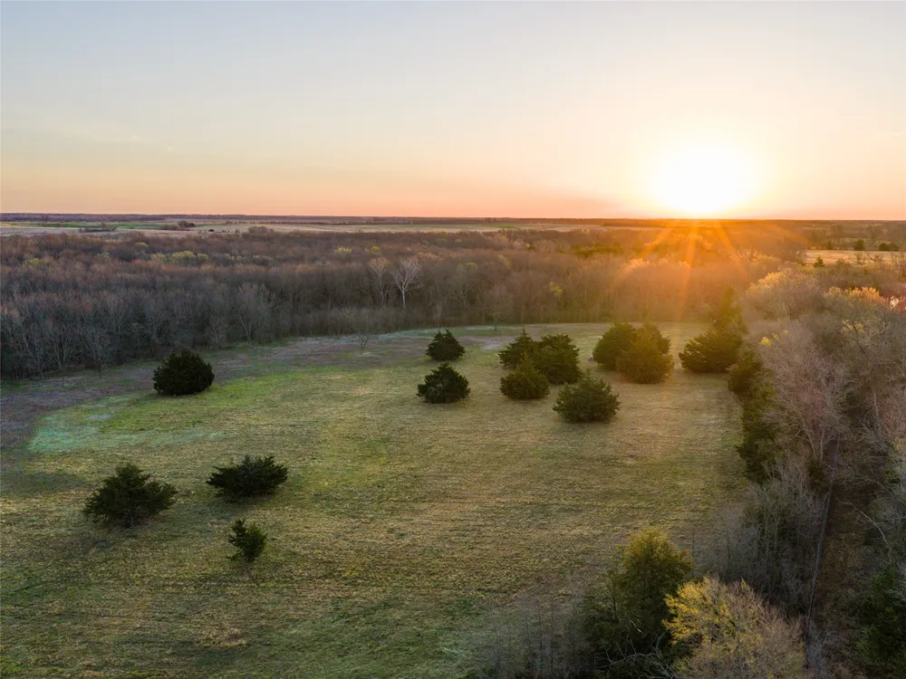 County Road 3550 Honey Grove, TX 75446