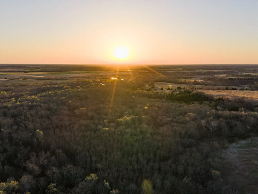 County Road 3550 Honey Grove, TX 75446