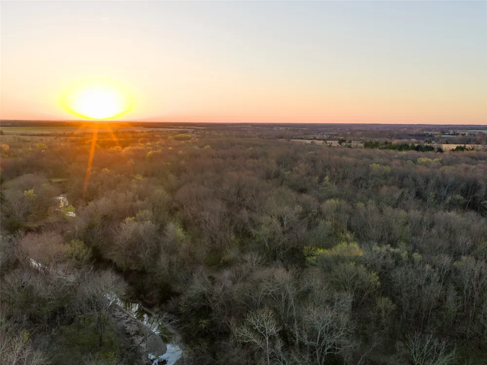 County Road 3550 Honey Grove, TX 75446