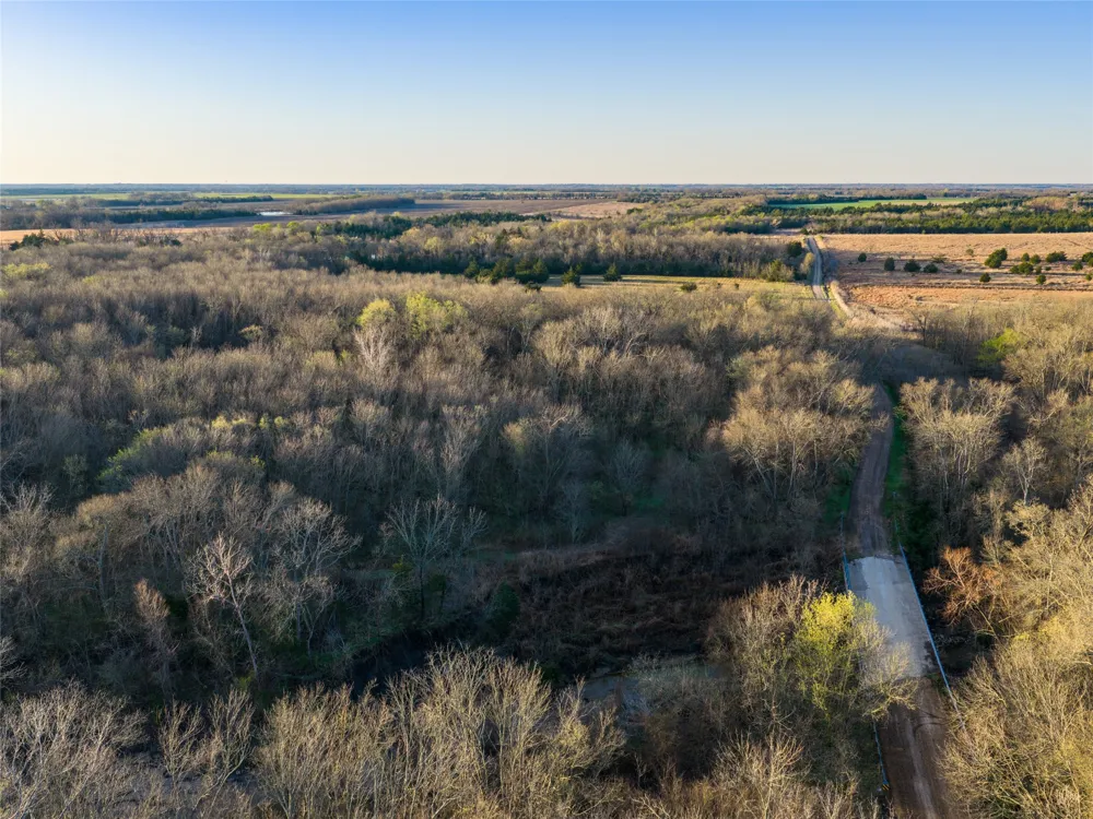 County Road 3550 Honey Grove, TX 75446