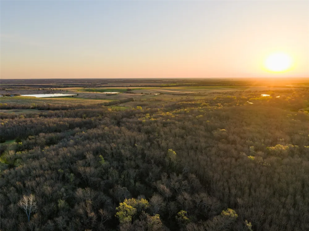 County Road 3550 Honey Grove, TX 75446
